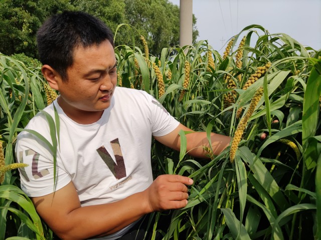 90后艰辛创业之路,90后农人致富路