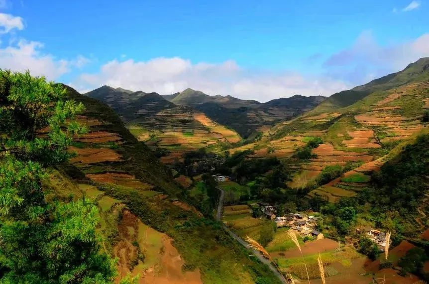 武都旅游景点大全,武都旅游线路