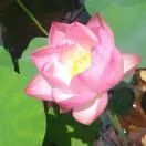 一堂拯救股民的公开课,拯救30万股民