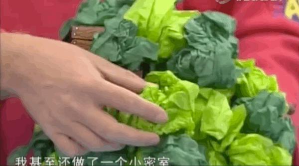 小神龙俱乐部里的艺术创想,童年小神龙俱乐部