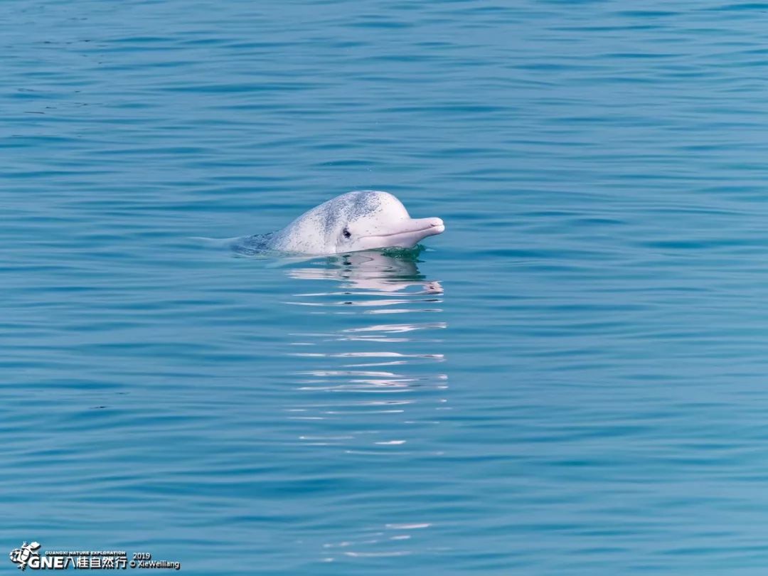 别去挤景点了！生态旅游了解一下