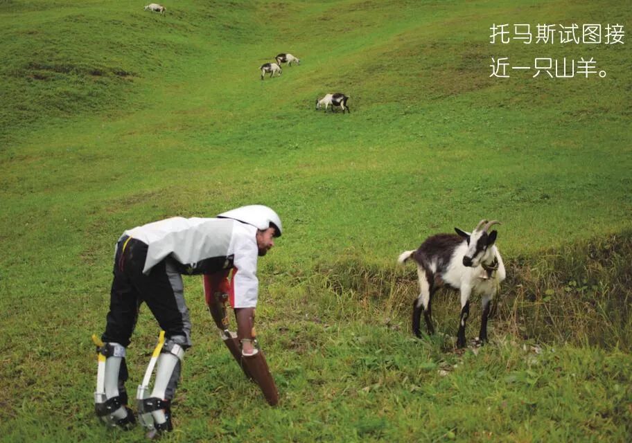 搞笑物理诺贝尔奖,搞笑诺贝尔奖2021