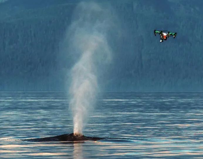 搞笑物理诺贝尔奖,搞笑诺贝尔奖2021