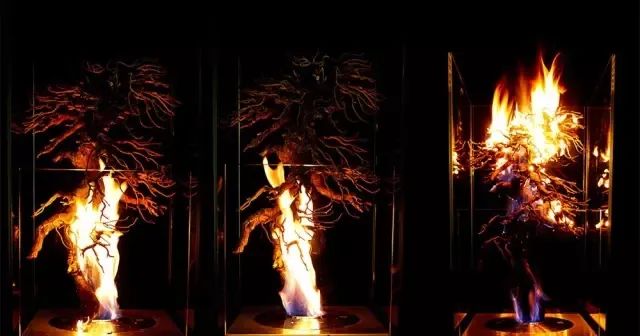 他是日本著名“花花公子”，拈花惹草只为极致的美