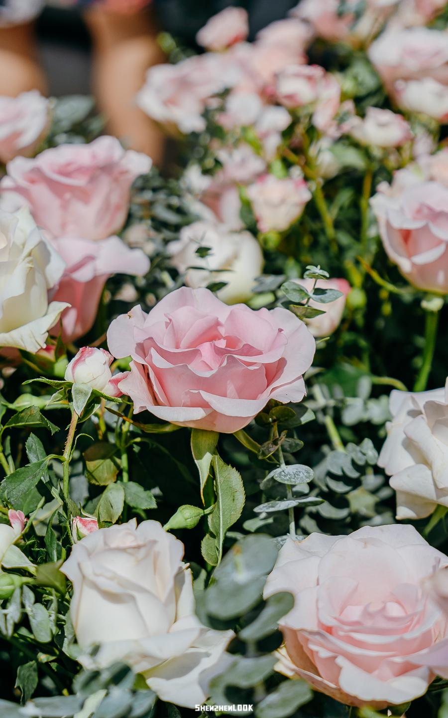 dior迪奥天猫国际店,dior深圳旗舰店