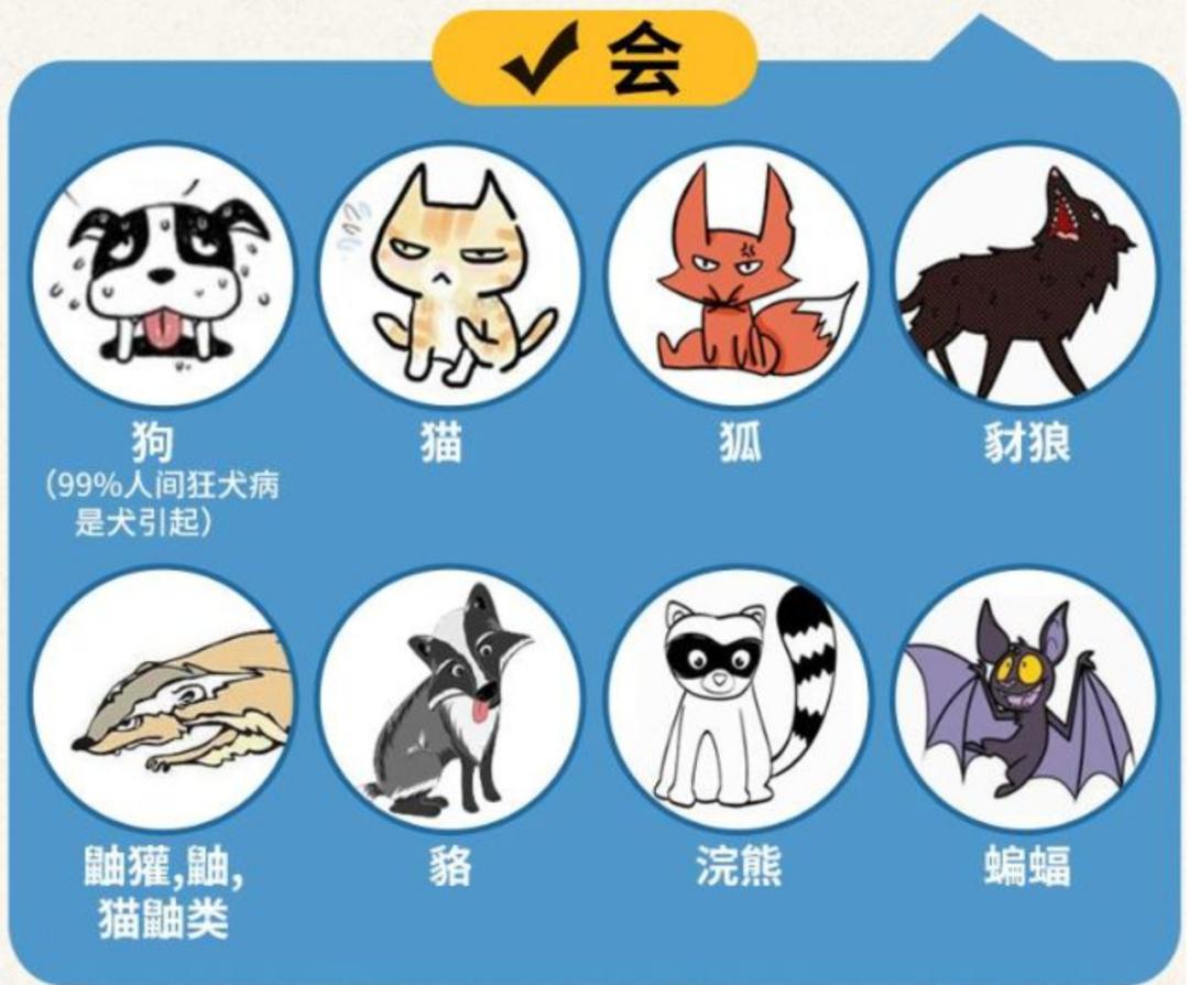 狂犬病的奇谈怪论,关于狂犬病的哲学思考