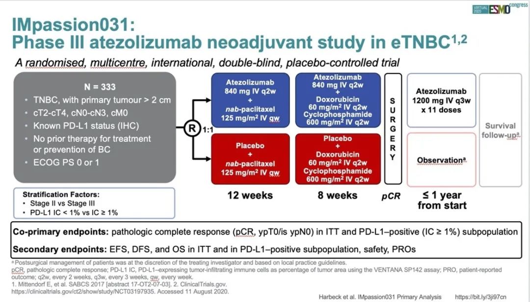 三阴性乳腺癌的最新治疗进展,三阴性乳腺癌真的可以治好吗