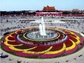 天安门广场花坛里的美景,有一种美叫天安门广场国庆花坛