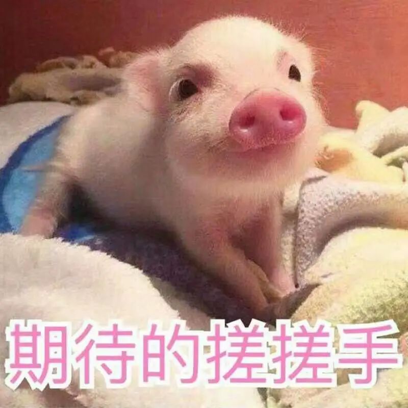 福利到！长隆免费门票来啦！快参与珠江频道春节特别节目活动抽奖