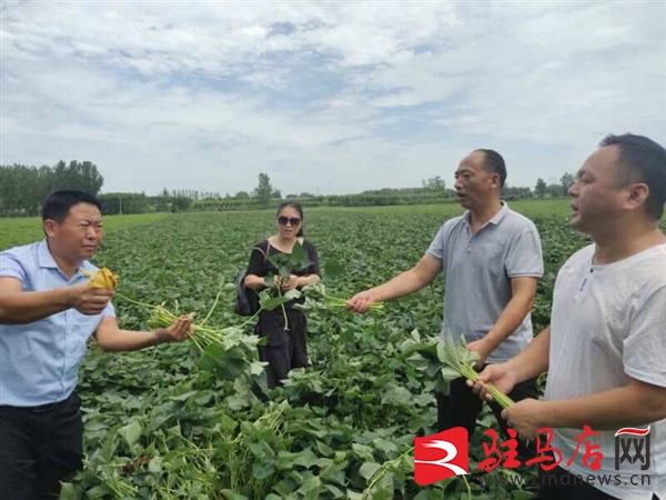 两个书记合起来是什么电视剧,两个书记电视剧叫什么