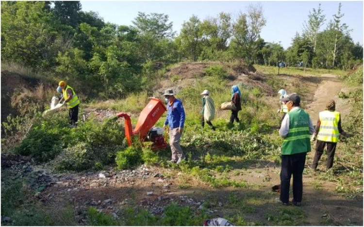 花山公园建设时间,花山公园改造投入