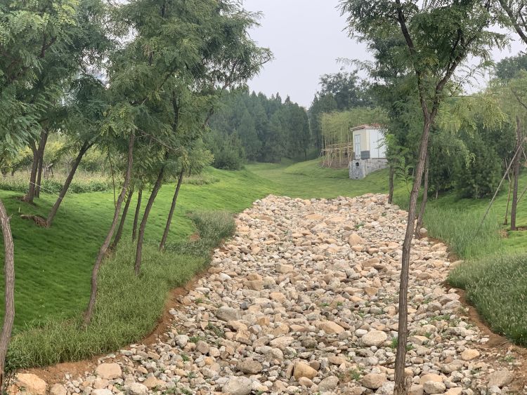 花山公园建设时间,花山公园改造投入