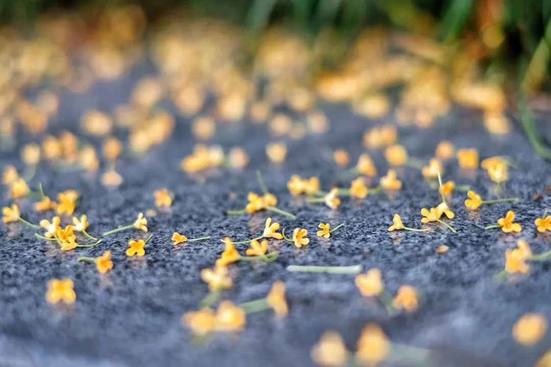 滨江多思创新学校,滨江学校全部排名