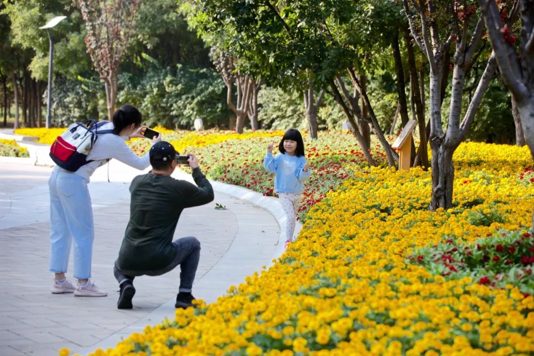 适合周末遛娃的公园,亦庄亲子玩乐