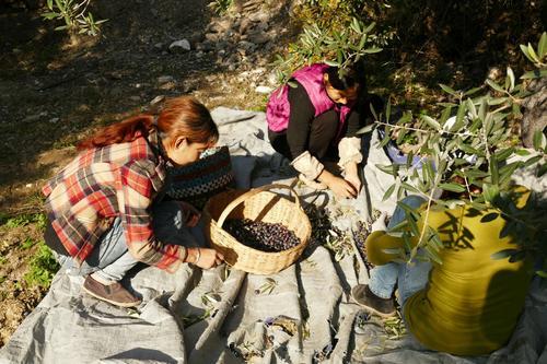 武都旅游景点大全,武都旅游线路