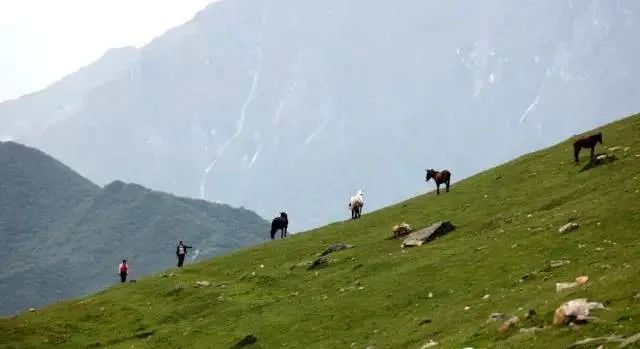 武都旅游景点大全,武都旅游线路