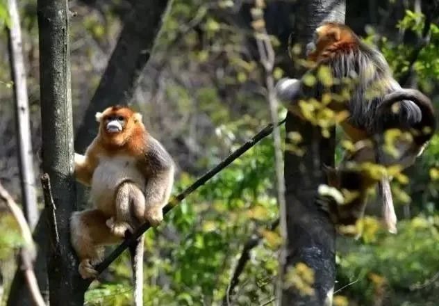 武都旅游景点大全,武都旅游线路