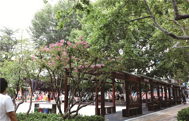 假期去公园玩的地方,威海经区蒿泊口袋公园