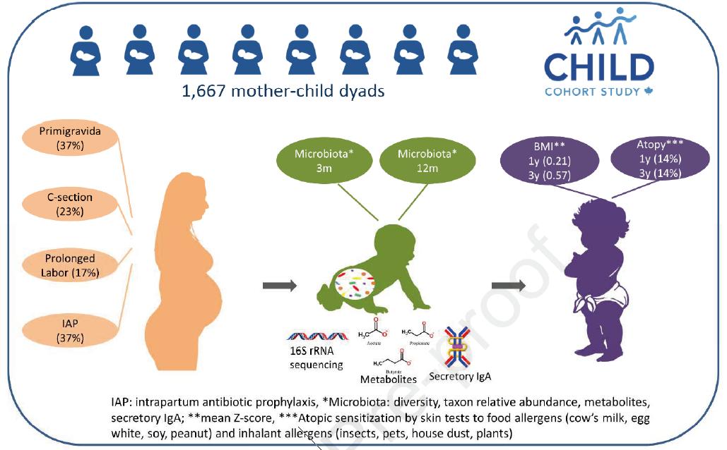 最新调查:剖腹产出生的孩子肥胖和过敏的风险更高!你还要选择剖腹产吗?