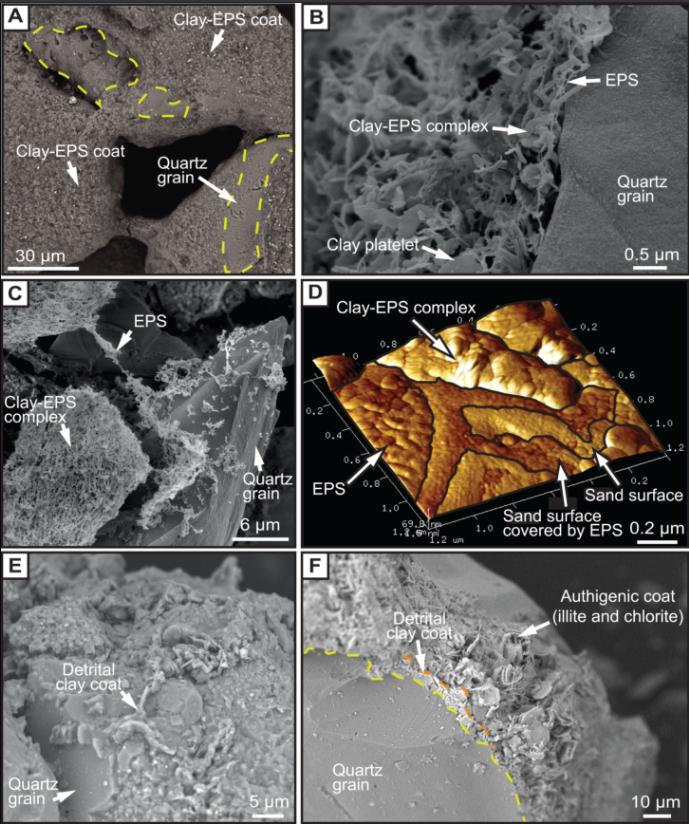 地学最新研究成果,地学前沿英文版