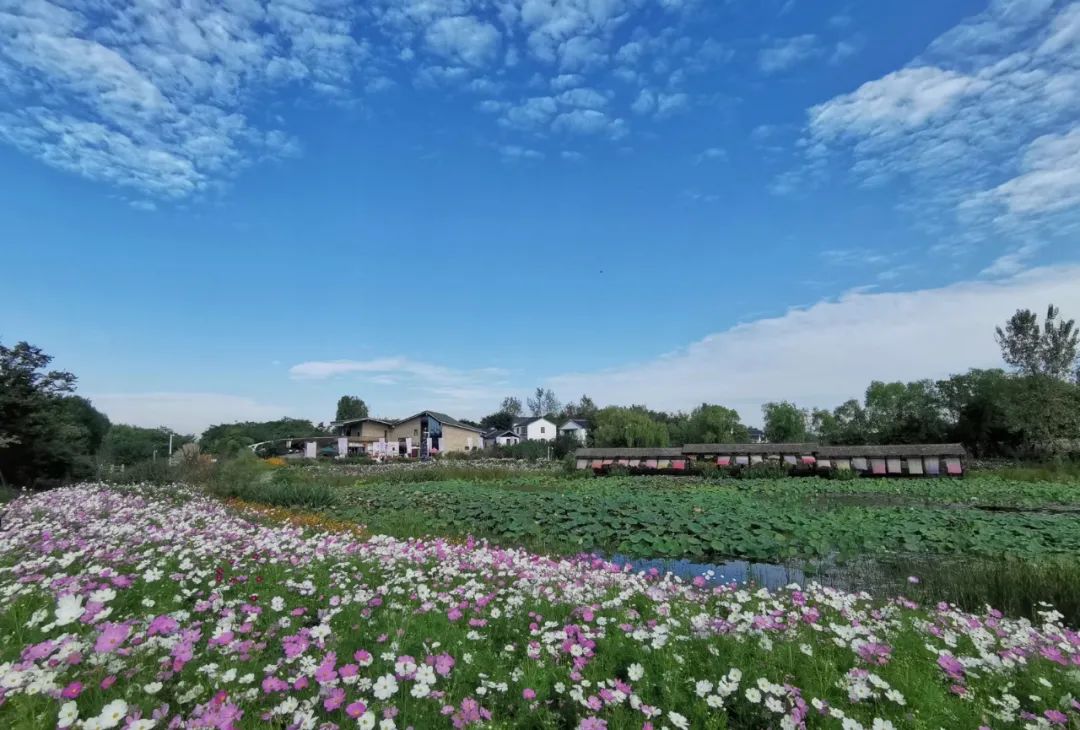 存款超200万家庭,八天突破100万粉丝