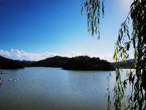 好文推荐作者文笔很好,好文荐读