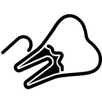 智齿组图,智齿大全