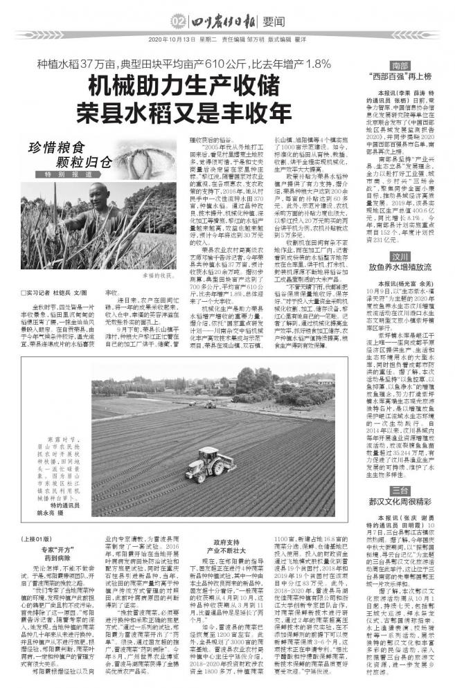 雷波马湖优佳莼菜,雷波马湖莼菜种植政策