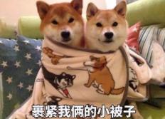 气温低迷阴冷持续,冷冷冷下周气温继续降