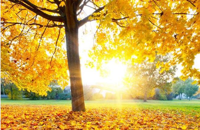 最新太阳雨消息,太阳雨最新消息今天