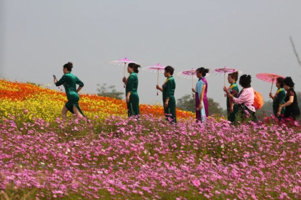 秋天的秦皇岛有多美？摄影家用镜头告诉你