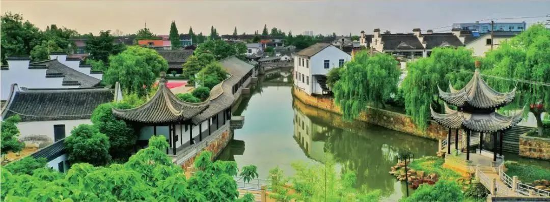 广州稻田网红打卡地,宜良稻田网红打卡点