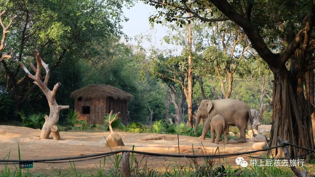 去珠海长隆海洋世界住哪个酒店好,长隆有必要住里面的酒店吗