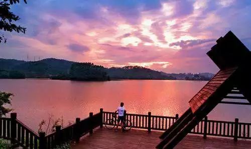 东莞周末带小孩哪里有好玩的地方,东莞又有什么好玩的