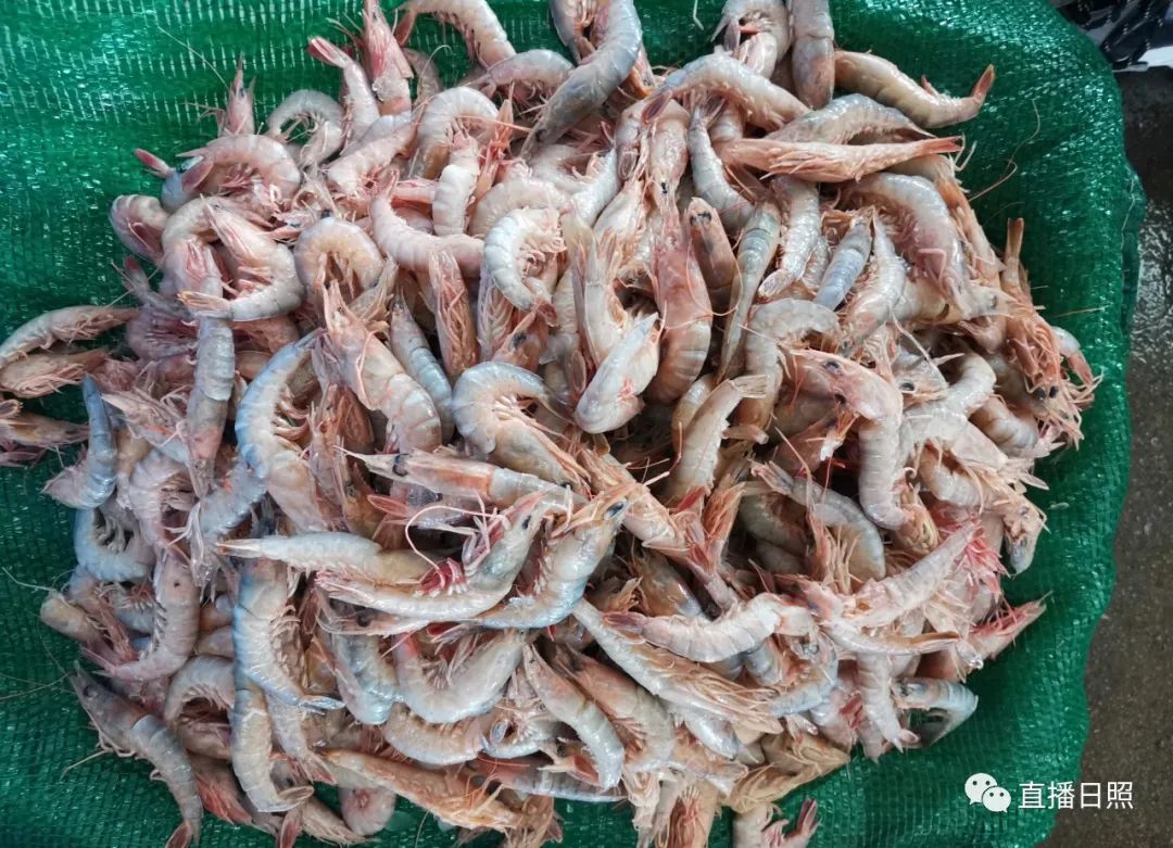 螃蟹5元一斤,日照海鲜螃蟹多少钱