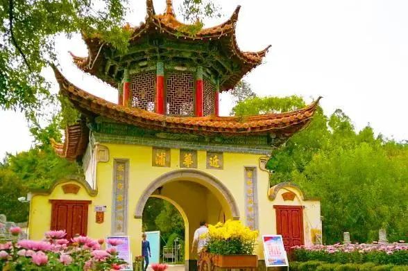 重阳关爱老人暖人心,重阳节陪伴是最好的孝心