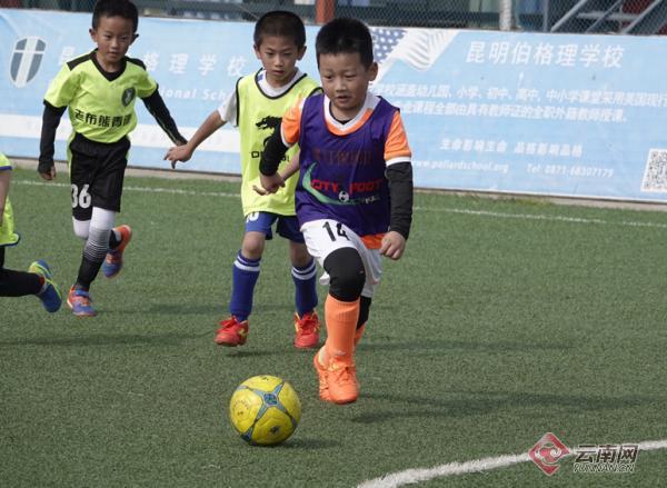 云南青训免费在线观看,云南青训中心比赛