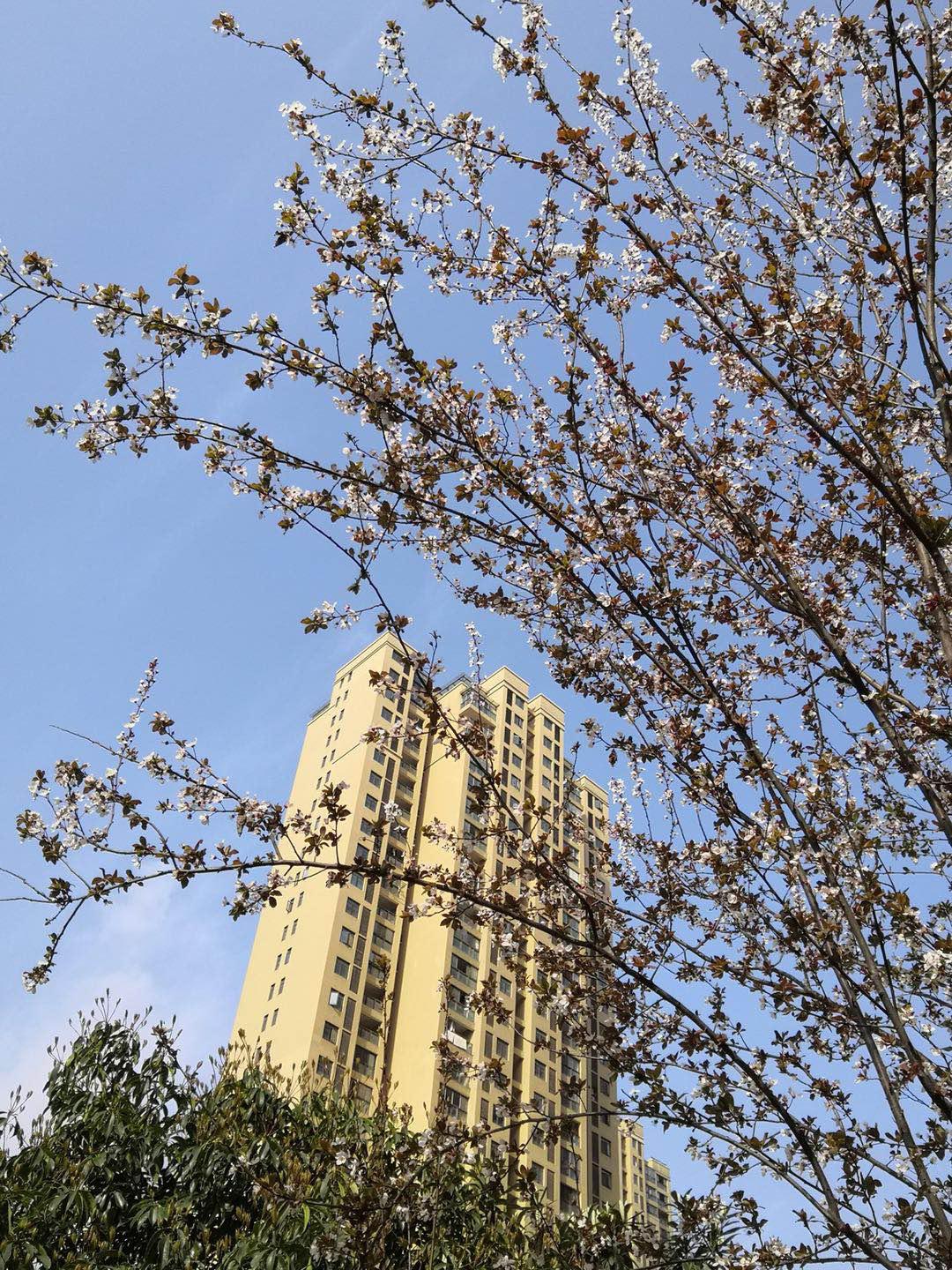 最美风景摄影作品,最美的风景摄影作品欣赏