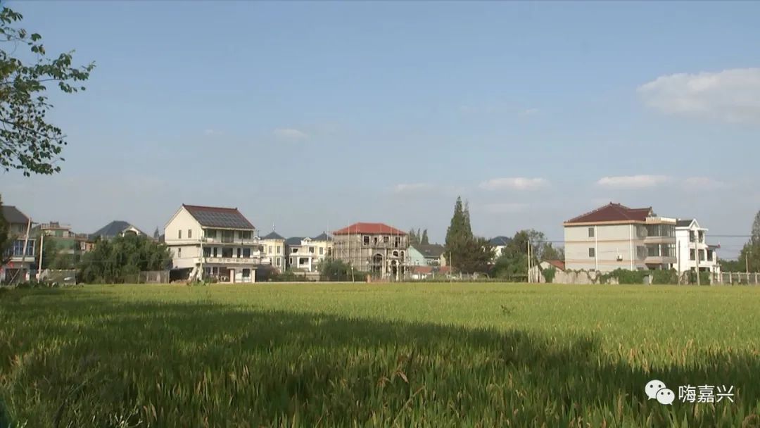 嗨嘉兴视频号,嗨嘉兴视频