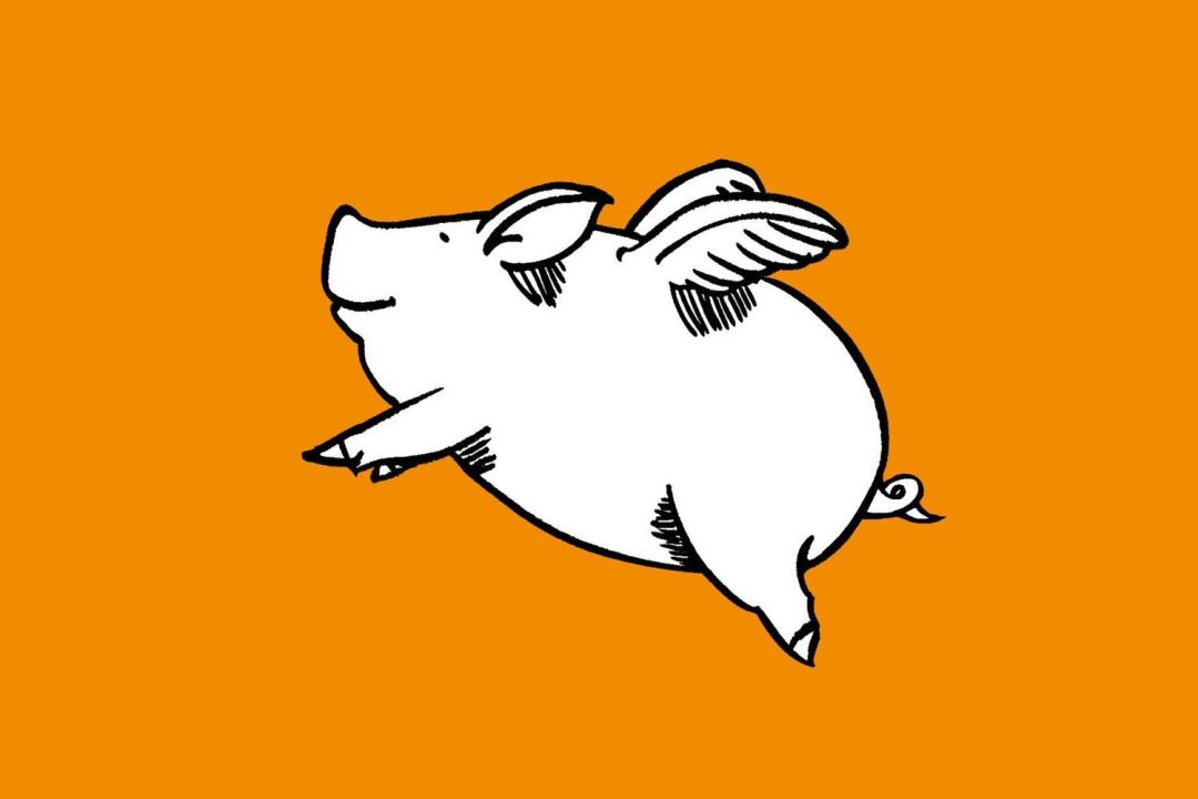 从高中辍学到获最佳学生论文——清华硕士王义达的非典型AI之路