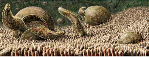 山泉水真的很好吗,真正的山泉水怎么样