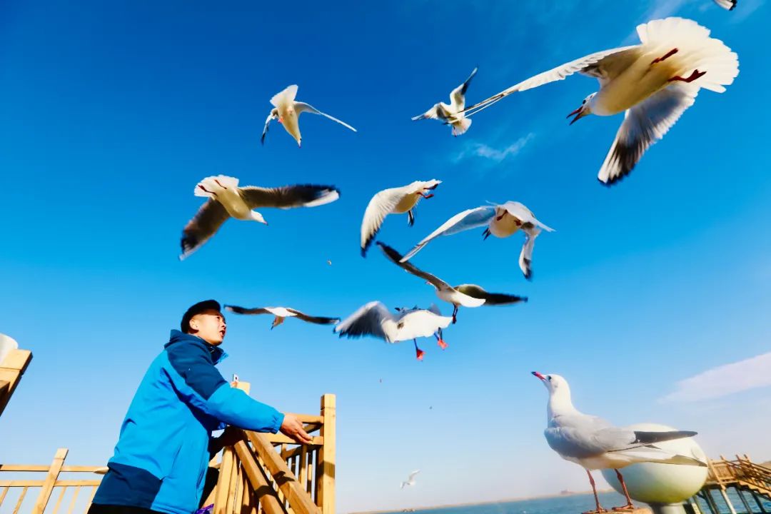 宁夏适合3-4月份旅游,宁夏的秋天