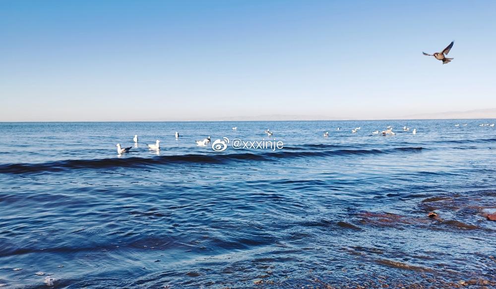 “云上高速”来了！成都5.5小时飙拢青海，沿线一大波“神仙”景点，每站都是大美风光片