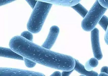 菲洛嘉柔润亮泽十全大补面膜50ml,菲洛嘉十全大补黑盖子