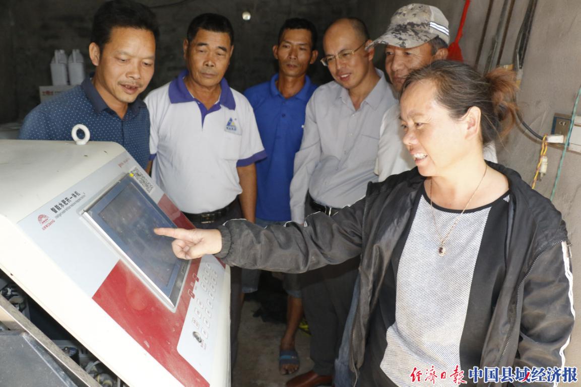 福建大棚蔬菜,福建大棚蔬菜种植