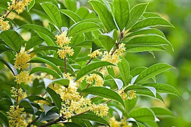 “唇膏买错会致癌！”：选东西，一定要看成分