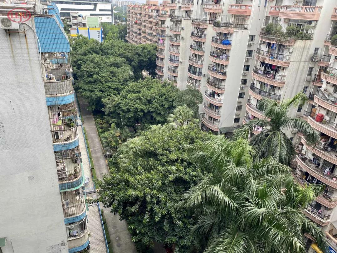 “香饽饽”琶洲:二手房有超10万+,也有3字头