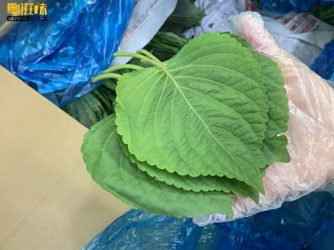 2元直奔「韩国超市」，20+种“妈妈”泡菜，一站搞定韩剧美食