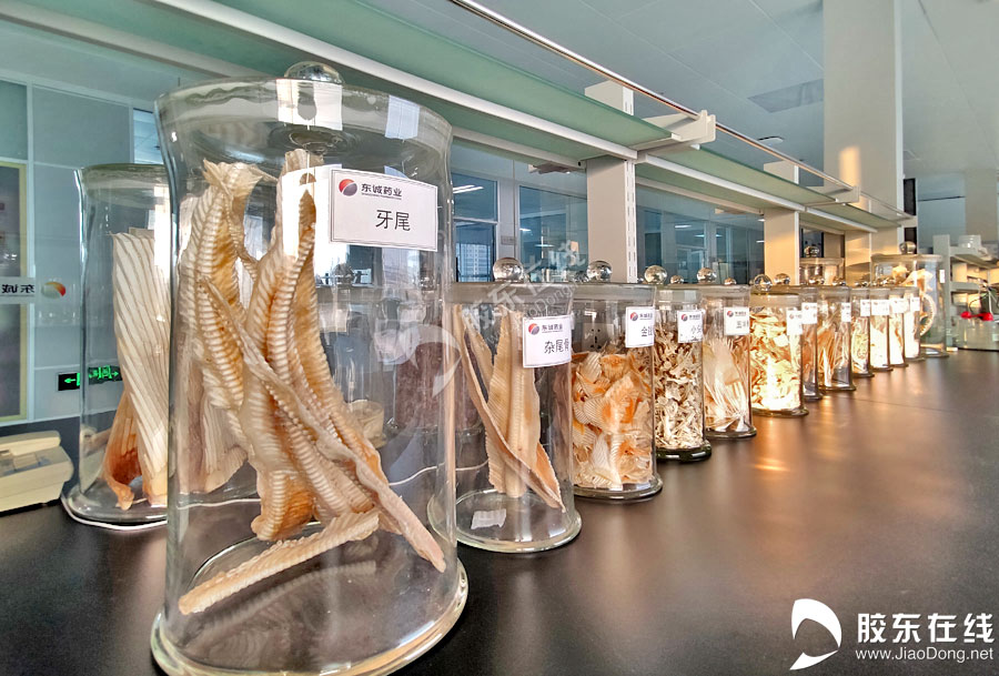 “云”见烟台:蓝色后浪奔涌海洋产业“参参”不息