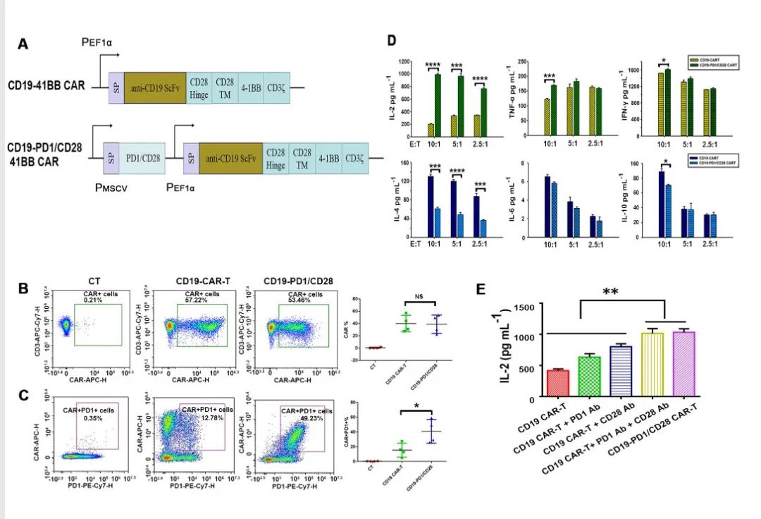 car-t治疗淋巴瘤最新研究进展,CD19CAR-T新药项目